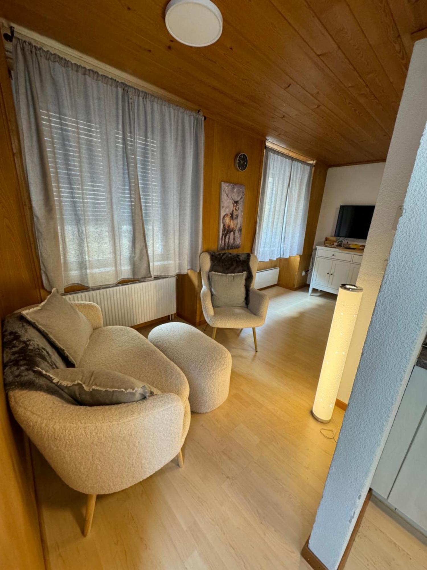 Blue Sky Apartments Göschenen Zewnętrze zdjęcie